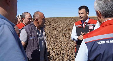 Tokat'ta 39 bin dekar alanda 19 tona yakın ayçiçeği tohumu ekildi
