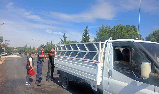 Uşak'ta şap hastalığına karşı denetimler hız kesmeden sürüyor