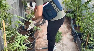 Uyuşturucuyu saksılara ekip evinin çevresine yerleştirmiş