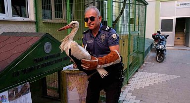 Yol kenarında bulunan yaralı leylek koruma altına alındı