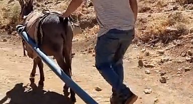 Yolalan'da eşeklerle su seferberliği