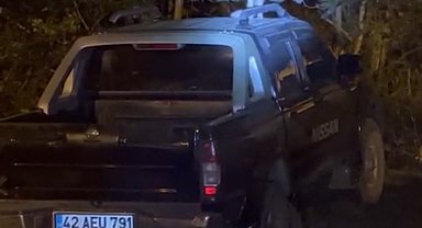 Yüksekova'da dost canlısı tilki: Önce arabanın üzerine çıkıyor, sonra elle besleniyor