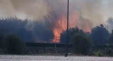 Zamanında müdahale yangının bahçelere sıçramasını önledi